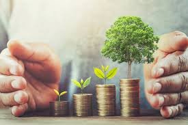 積み上げられたコインから芽が出る様子とそれを守る手：投資信託や新NISAでの資産形成イメージ