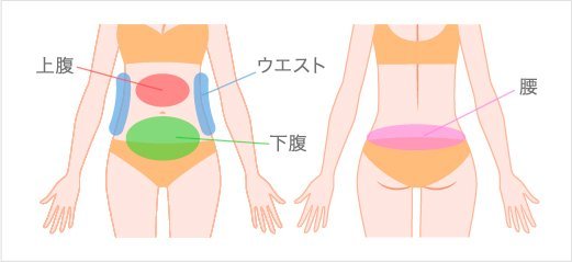 お腹の脂肪吸引の対象部位である上腹、下腹、ウエスト、腰を示した女性の体のイラスト